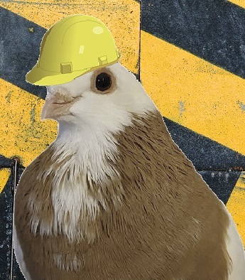 Blikje de Bouwer is hard aan het werk!
