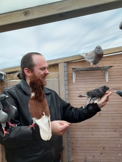Sjoerd met een aantal sierduiven